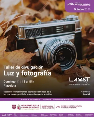 Cartel de Luz y fotografía: una cámara antigua sobre hojas secas.