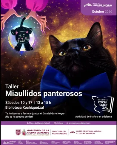 Cartel de Maullidos panterosos: un gato negro con un moño azul sobre un fondo de luces.